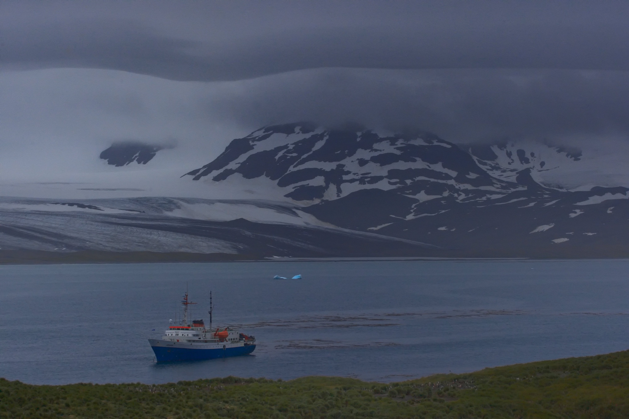 Prion Island, South Georgia